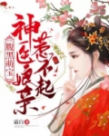 腹黑萌宝:神医娘亲惹不起